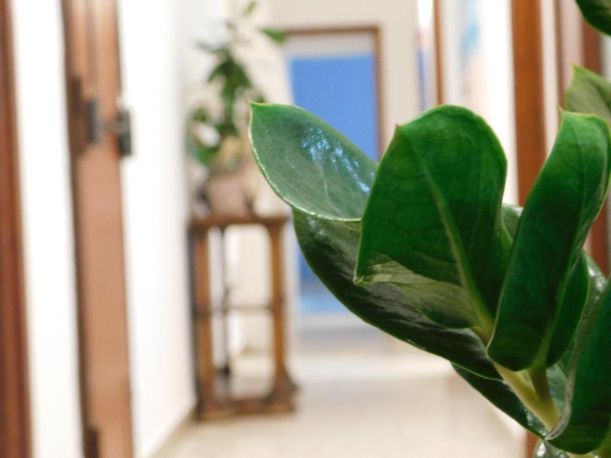 קטאניה Frankie'S House B&B מראה חיצוני תמונה